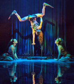 Le Spectacle