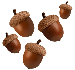 Gland décoration site - printemps 2026